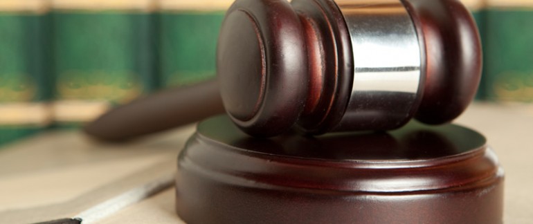 Etiam commodo convallis